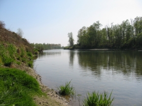 Il  grande fiume  Po - RISERVA   CARMAGNOLA